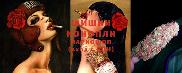 бошки Инта