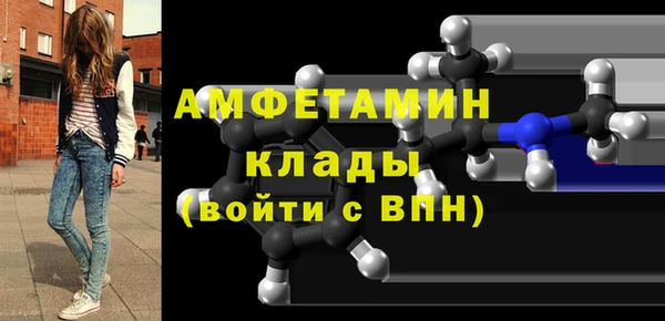 гидра Верхний Тагил