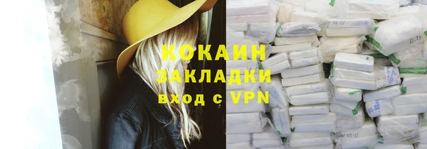 гидра Верхний Тагил