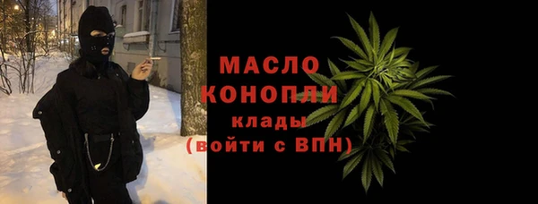 гидра Верхний Тагил