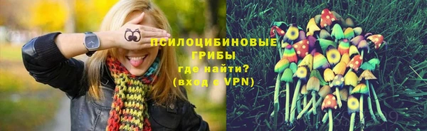 молекула духа Верея