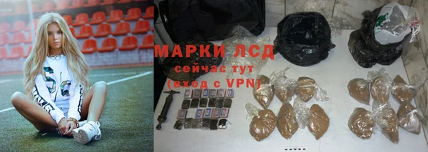 гидра Верхний Тагил